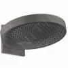Hansgrohe Rainfinity - Rociador De Ducha E 360 Con Conexión, 1jet, Cromo Negro Cepillado 26230340