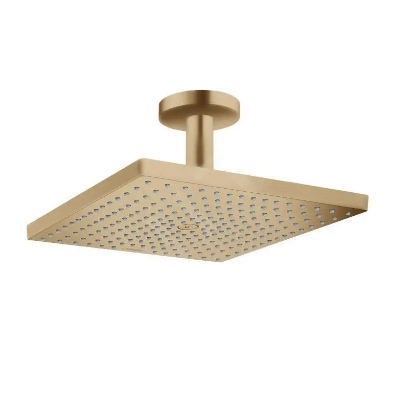 Hansgrohe Raindance E - Rociador De Ducha E 300, 1jet, Bronce Cepillado 26250140